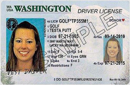 washington state drivers license check